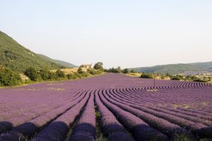 Art course Provence Painting workshop South of France Art course Provence Painting workshop South of France